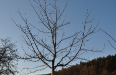 Impressionen 8