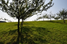 Impressionen 4
