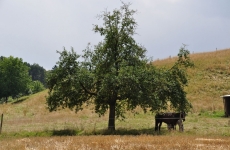 Impressionen 17