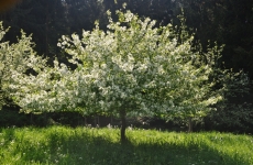 Impressionen 14