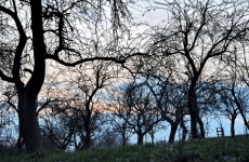 Impressionen 11