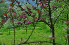 Impressionen 16