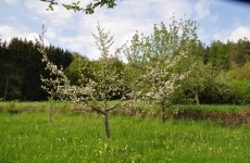 Impressionen 15