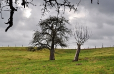 Impressionen 20