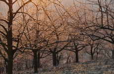 Impressionen 1