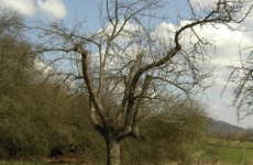 Impressionen 19