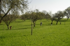 Impressionen 7