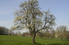 Impressionen 18