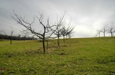 Impressionen 6