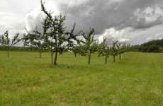 Impressionen 5