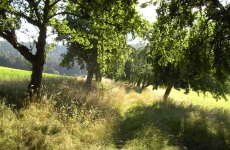 Impressionen 21