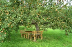 Impressionen 22