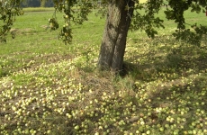 Impressionen 23