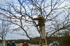 Mensch und Baum 1