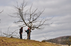 Mensch und Baum 4