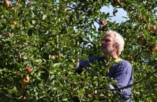Mensch und Baum 7