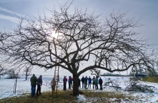 Mensch und Baum 2
