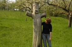 Mensch und Baum 6