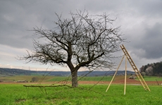 Vor und nach dem Schnitt 11